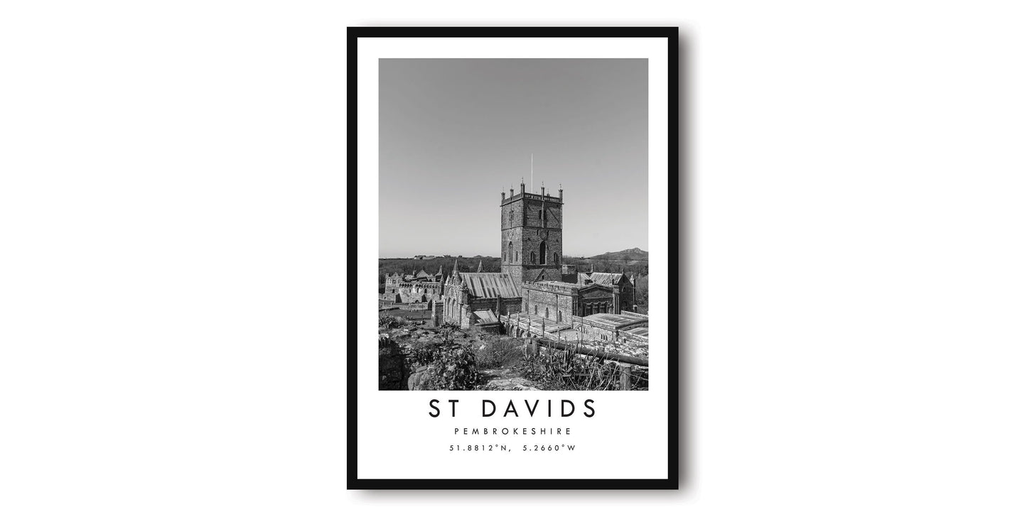 St Davids Travel Print