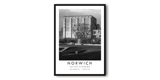 Norwich Travel Print